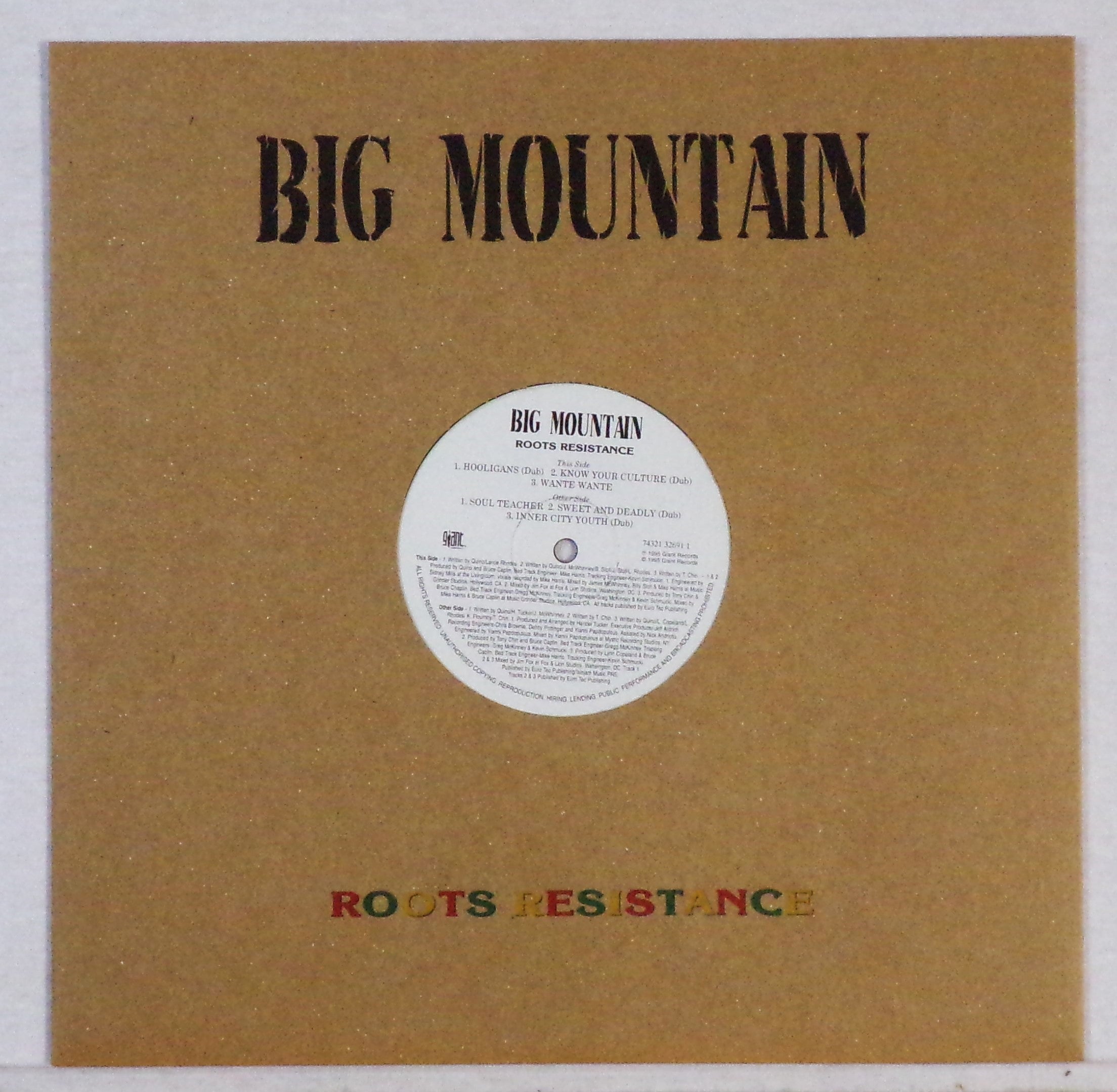 BIG MOUNTAIN - ROOTS RESISTANCE -  ORIGINAL 1995  NEW  12" VINYL ADVANCE (EXTRA LIMITED LABEL PROMO COPY)