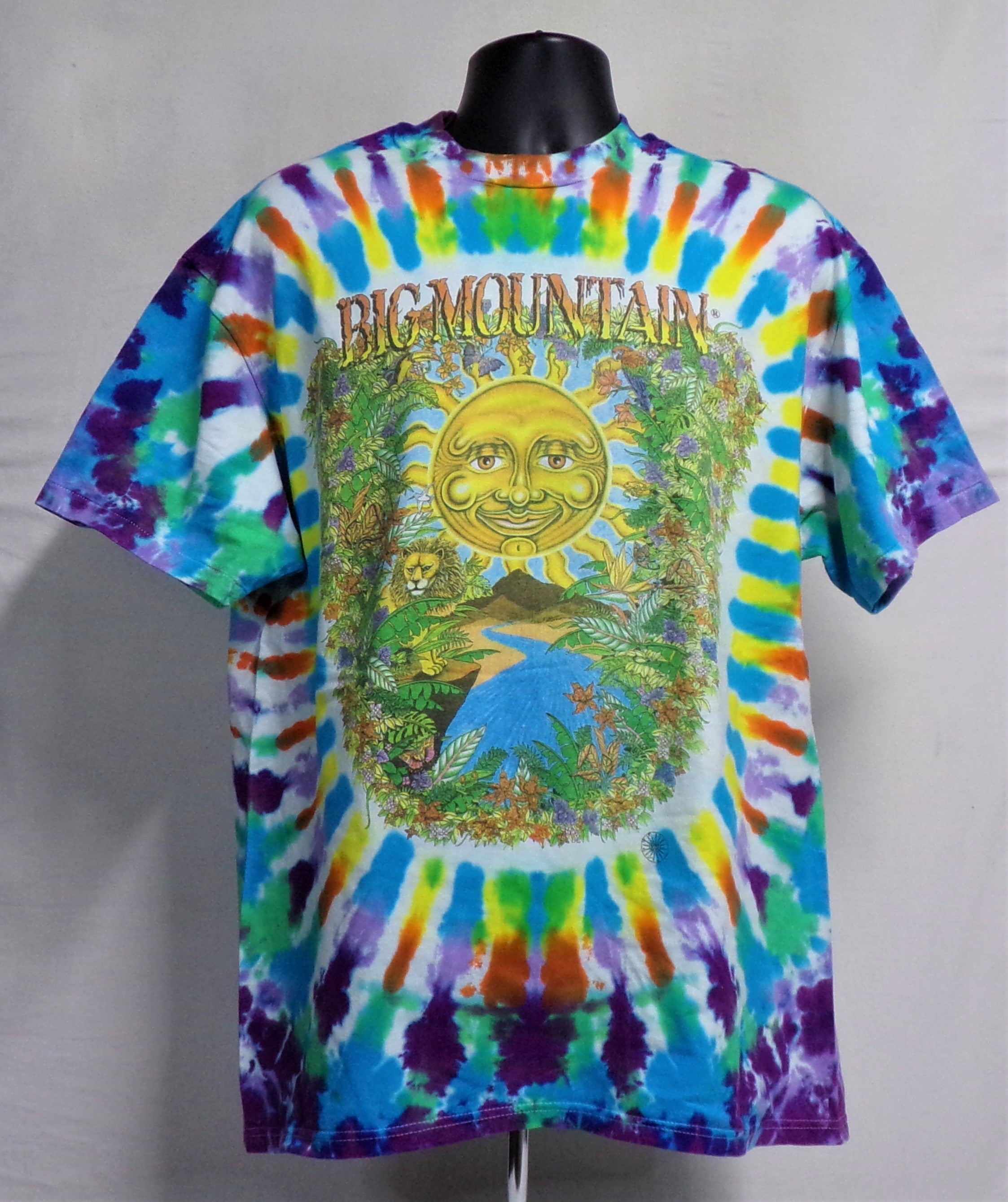 BIG MOUNTAIN CUSTOM TIE DYE T-SHIRT (SIZE: X LARGE) (BIG MOUNTAIN MERCHANDISE)